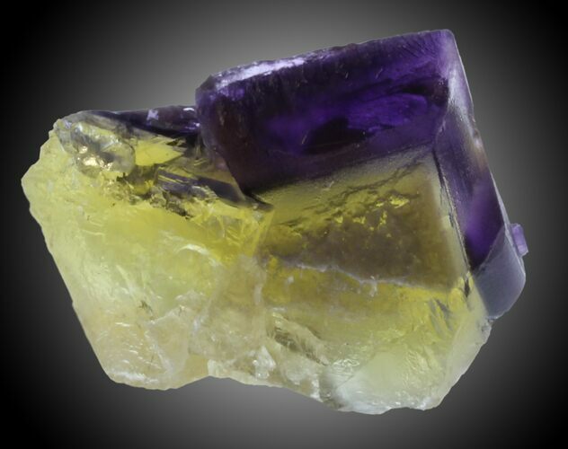 Purple & Yellow Cubic Fluorite - Cave-in-Rock, Illinois #31412